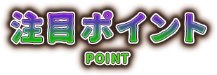 注目ポイント