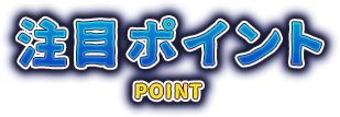 注目ポイント