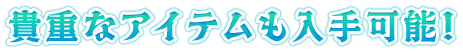 貴重なアイテムも入手可能！