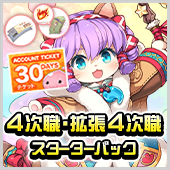 4次職・拡張4次職スターターパック