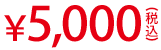 ¥5,000(税込)